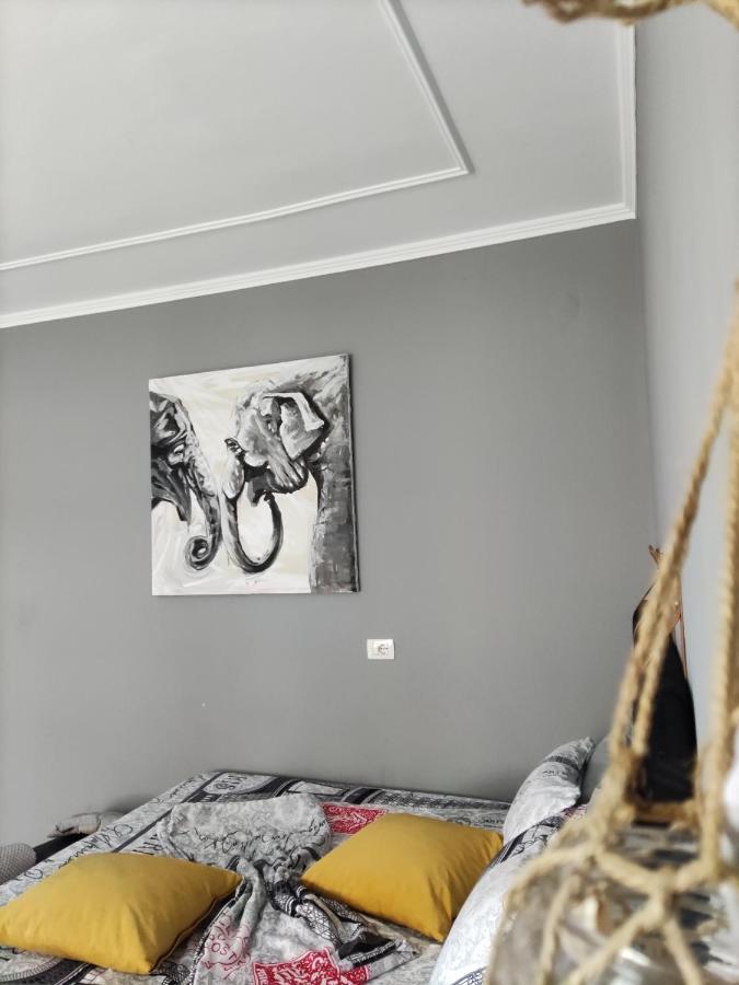 Koa Studio 1 Korce Ngoại thất bức ảnh